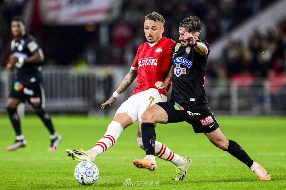 此次击败兹 此次击败兹